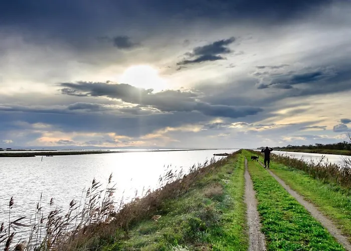 מלון דירות Agenzia Vear - לידו די בולנו
