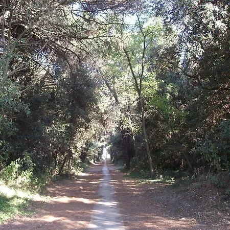 Agenzia Vear -