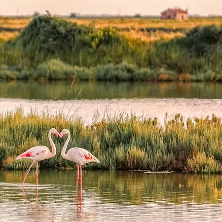 Lägenhetshotell Agenzia Vear -