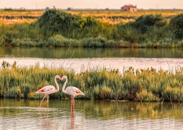 Апарт-отель Agenzia Vear -